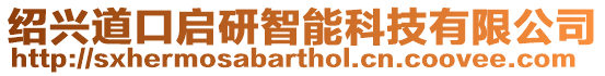 紹興道口啟研智能科技有限公司