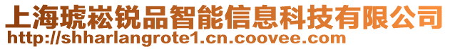 上海琥崧銳品智能信息科技有限公司