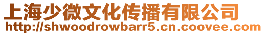 上海少微文化傳播有限公司