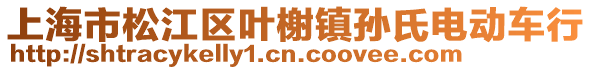 上海市松江區(qū)葉榭鎮(zhèn)孫氏電動(dòng)車(chē)行