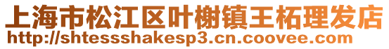上海市松江區(qū)葉榭鎮(zhèn)王柘理發(fā)店
