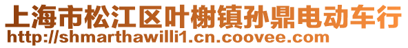 上海市松江區(qū)葉榭鎮(zhèn)孫鼎電動車行