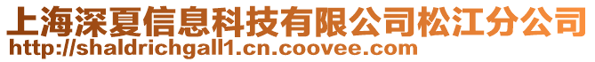 上海深夏信息科技有限公司松江分公司