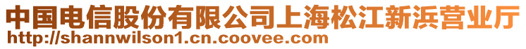 中國(guó)電信股份有限公司上海松江新浜營(yíng)業(yè)廳