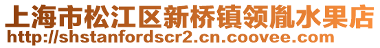 上海市松江區(qū)新橋鎮(zhèn)領(lǐng)胤水果店