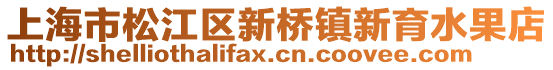 上海市松江區(qū)新橋鎮(zhèn)新育水果店