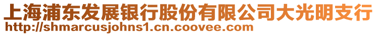 上海浦東發(fā)展銀行股份有限公司大光明支行