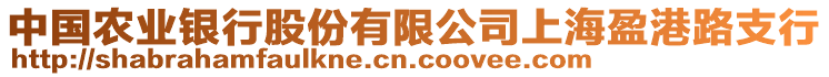 中國(guó)農(nóng)業(yè)銀行股份有限公司上海盈港路支行