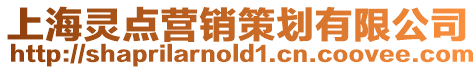 上海靈點營銷策劃有限公司