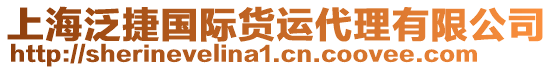 上海泛捷國(guó)際貨運(yùn)代理有限公司