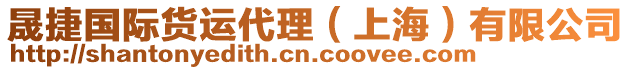 晟捷國(guó)際貨運(yùn)代理（上海）有限公司