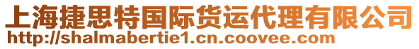 上海捷思特國際貨運代理有限公司