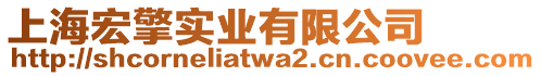上海宏擎實業有限公司
