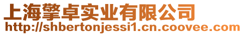 上海擎卓實業有限公司