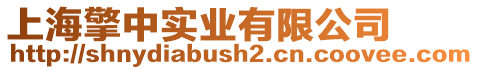上海擎中實業有限公司