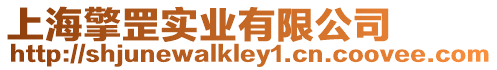 上海擎罡實業有限公司