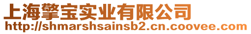 上海擎寶實業有限公司