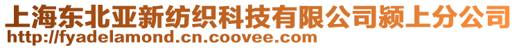 上海東北亞新紡織科技有限公司潁上分公司