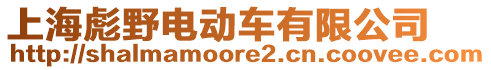 上海彪野電動車有限公司