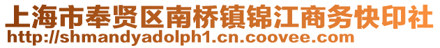 上海市奉賢區(qū)南橋鎮(zhèn)錦江商務(wù)快印社