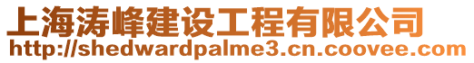 上海濤峰建設(shè)工程有限公司