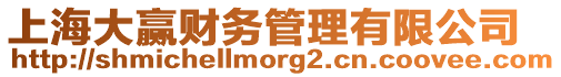 上海大贏財務管理有限公司