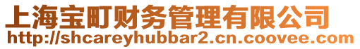 上海寶町財(cái)務(wù)管理有限公司