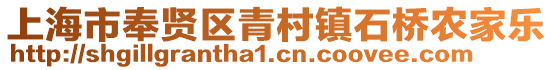 上海市奉賢區(qū)青村鎮(zhèn)石橋農(nóng)家樂