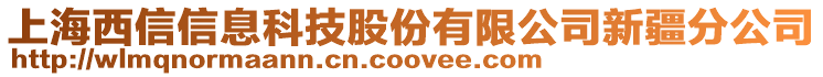 上海西信信息科技股份有限公司新疆分公司