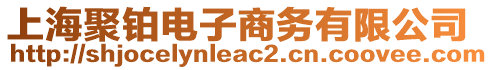 上海聚鉑電子商務有限公司