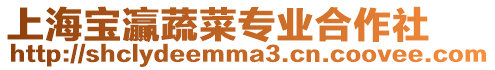 上海寶灜蔬菜專業合作社