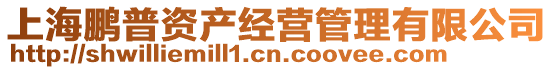 上海鵬普資產(chǎn)經(jīng)營管理有限公司