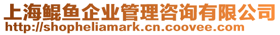 上海鯤魚企業管理咨詢有限公司