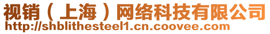 視銷（上海）網(wǎng)絡(luò)科技有限公司