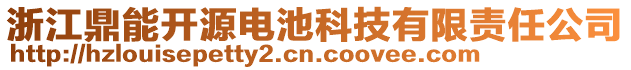 浙江鼎能開源電池科技有限責任公司