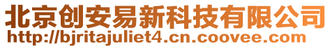 北京創(chuàng)安易新科技有限公司