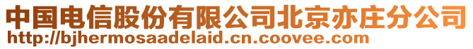 中國(guó)電信股份有限公司北京亦莊分公司