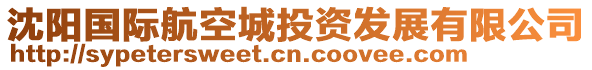 沈陽國際航空城投資發(fā)展有限公司