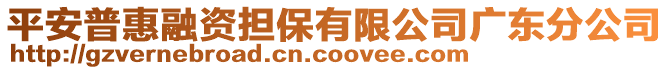 平安普惠融資擔(dān)保有限公司廣東分公司