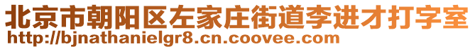 北京市朝陽區左家莊街道李進才打字室