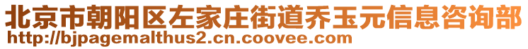 北京市朝陽(yáng)區(qū)左家莊街道喬玉元信息咨詢部