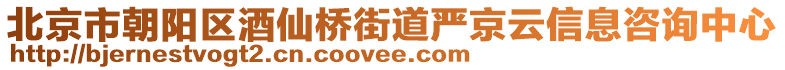 北京市朝陽(yáng)區(qū)酒仙橋街道嚴(yán)京云信息咨詢中心