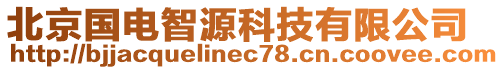 北京國電智源科技有限公司