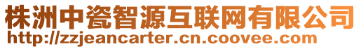 株洲中瓷智源互聯(lián)網(wǎng)有限公司