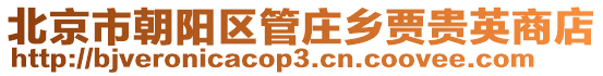 北京市朝陽區管莊鄉賈貴英商店