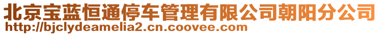 北京寶藍恒通停車管理有限公司朝陽分公司