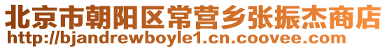 北京市朝陽區常營鄉張振杰商店