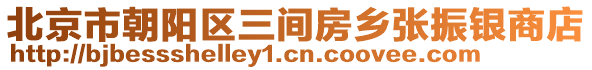 北京市朝陽(yáng)區(qū)三間房鄉(xiāng)張振銀商店