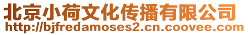 北京小荷文化傳播有限公司