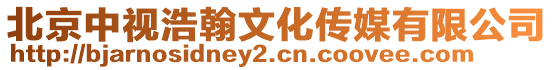 北京中視浩翰文化傳媒有限公司